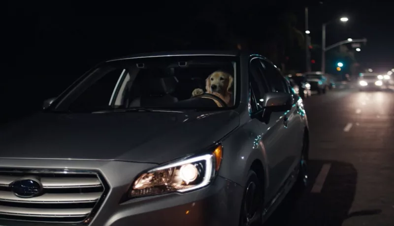 Has Subaru Been Properly Dog Tested?